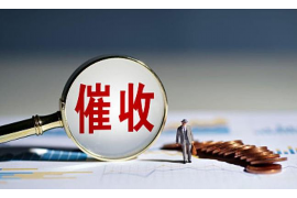 政和要账公司更多成功案例详情